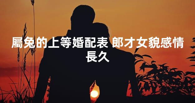 屬兔的上等婚配表 郎才女貌感情長久